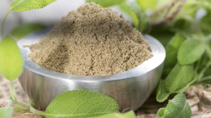 Things You Should Know About Kratom Drug Interactions