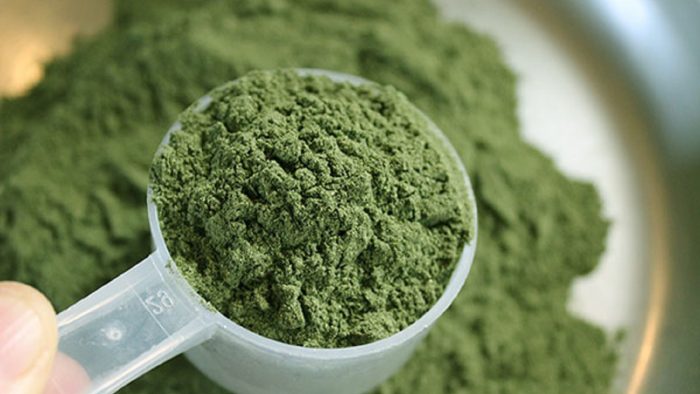 Effects of Red and Green Riau Kratom